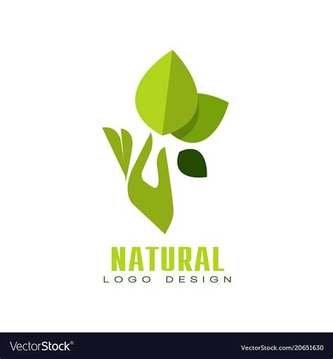 natural logo design healthy premium quality label vector image
