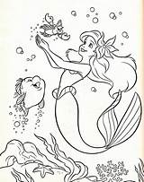 Coloring Pages Flounder Ariel Getcolorings Disney sketch template