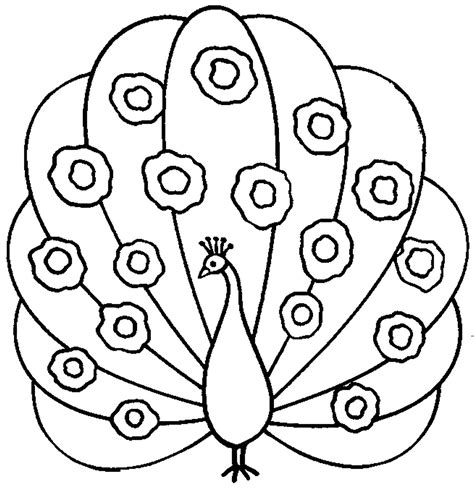peacock drawing  print  color peacocks kids coloring pages