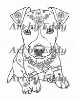 Jack Coloring Russell Terrier Pages Getdrawings Getcolorings sketch template