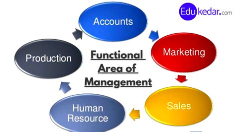 levels  management  functional area types  managers