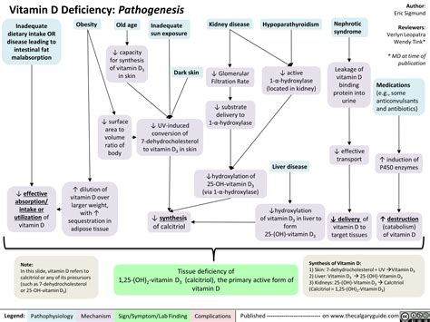 Vitamin D Deficiency Pathogenesis Calgary Guide