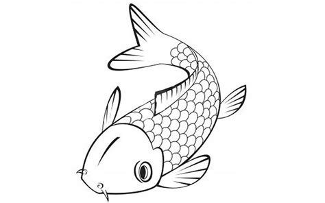 fish coloring page  print  coloring page