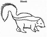 Skunk Coloring Pages Color Animal Animals sketch template