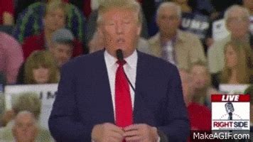 donald trump gif find share  giphy