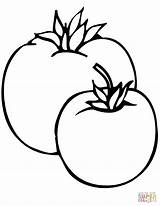 Coloring Tomatos Tomato Drawing Pages Plant Tomatoes Two Printable Categories sketch template
