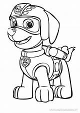 Patrol Paw Zuma Coloring4free Canina Printables Patrulla Badges sketch template