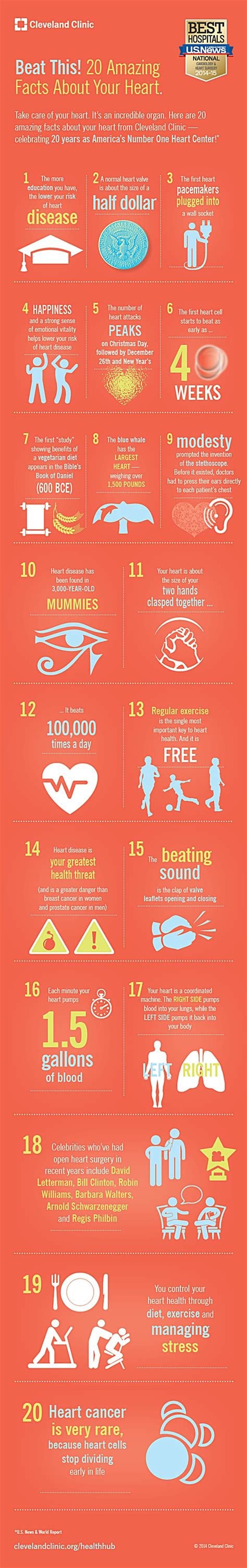 20 Amazing Facts About Your Heart Health24