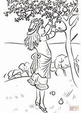 Picking Coloring Pages Apple Apples Girl Drawing Tree Orchard Printable Woman Color Under Getcolorings Print Getdrawings Categories Colori sketch template