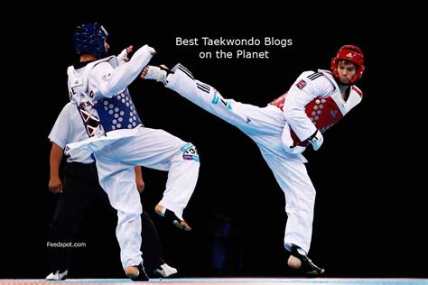 top  taekwondo blogs  websites  follow
