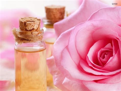 Cara Cantik Alami Dengan Air Mawar Tips Perawatan Cantik