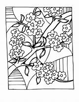 Blossom Colorat Primavara Toamna Chinois Blossoms Planse Colouring Copaci Infloriti Inflorit P11 Cires Ume Chine Zeichnen Desene Cerisier Coloriages Complexe sketch template