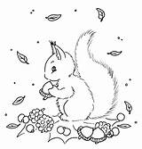 Squirrel Kleurplaat Embroidery Herbst Ausmalbilder Digi Sliekje Eekhoorn Stamps Eikel Herfst Crewel Transfers Stickmuster Eichh Nchen Veverka Downloaden sketch template
