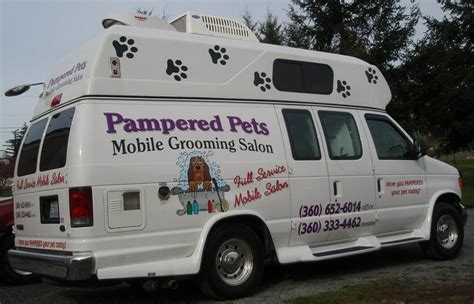 pampered pet grooming  spa pampered pet grooming spa
