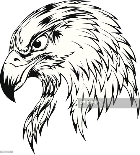 stock illustration eagle head beauty art drawings bird drawings
