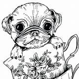 Pug Adults Realistic Getdrawings Doug Teacup Adultes Bestcoloringpagesforkids Moins Reduction Chiens Coloriages Getcolorings Colorings sketch template