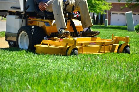 basics  lawn care  maintenance