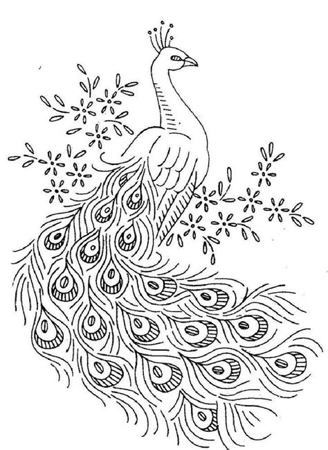 peacock coloring pages   downloadable educative printable