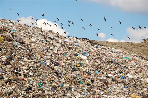 major steps involved   proper management  solid waste  india