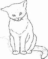 Poezen Katten Dieren Animaatjes Kleurplaat sketch template