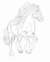 Horse Coloring Clydesdale Pages Choose Board Deviantart sketch template