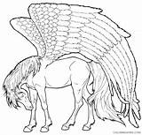 Coloring Pegasus Pages Realistic Coloring4free Related Posts Printable sketch template