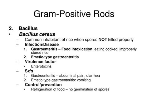 Ppt Chapter 10 Gram Positive Rods Powerpoint