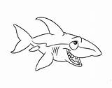 Shark Bull Sketch Coloring Paintingvalley sketch template