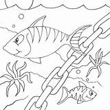 Fundo Mar Pesci Peixes Riscos Mewarnai Oceano Binatang Hidup Animali Peixinhos Desenho Coloradisegni Ayo Em Qdb Diversos sketch template