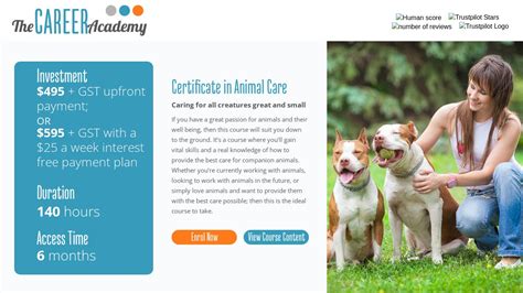 certificate  animal care nz animal care courses