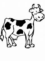 Cow Coloring Pages Kids Drawing Cartoon Cows Animals Clipart Farm Cute Holstein Colouring Cliparts Print Az Clipartbest Popular Clip Coloringhome sketch template