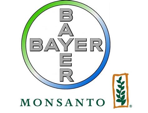 bayer clinches monsanto  improved  billion bid money gma news