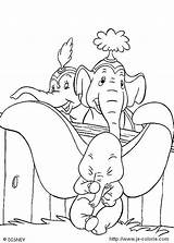 Dumbo Elephant Coloriages sketch template
