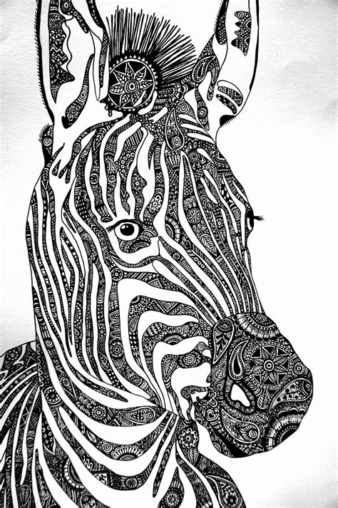 twllllyat zebra art zentangle drawings stuffed animal patterns