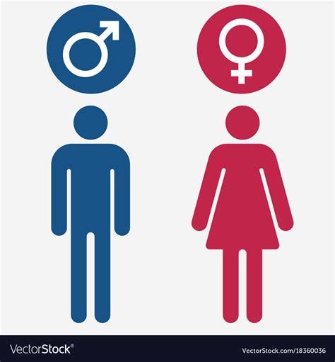 male and female symbols royalty free vector image