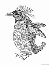 Zentangle Coloring4free Bird sketch template