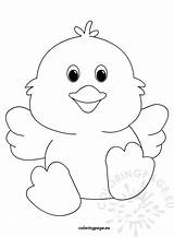 Chick Coloring Chicks Pages Baby Cute Easter Drawing Colouring Chicken Printable Templates Egg Color Print Kids Year Chick2 Coloringpage Eu sketch template