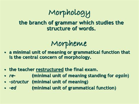 english morphology