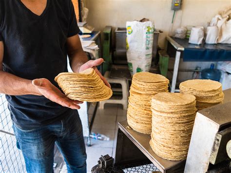 incrementara el precio de la tortilla en jalisco trafico zmg
