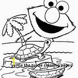 Turtle Yertle Coloring Pages Divyajanani sketch template