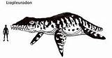 Liopleurodon Prehistoric Paleontology sketch template