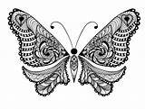 Coloring Pages Adults Butterfly Adult Animals Animal Printable Kids Bestcoloringpagesforkids Folk Uncolored Ornaments Tattoo Lot Sweet Butterflies Abstract Vector Beautiful sketch template