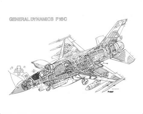 Print Of Lockheed Martin F 16c Fighting Falcon Cutaway