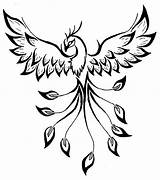 Outline Phoenix Drawing Tattoo Paintingvalley Drawings sketch template