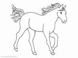 Horse Coloring Pages Drawing Clydesdale Awesome Horses Big War Kids Printable Color Getcolorings Tugboat Clipart Getdrawings Print Netart sketch template
