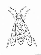 Hornet Coloring Pages Preschool Printable Wasp Kids Designlooter 750px 17kb 74kb sketch template