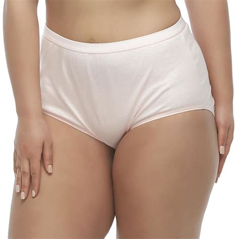 Hanes Women S 3 Pack Cotton Brief Panties Assorted Colors