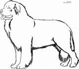 Dog Line Cliparts Printable Coloring Attribution Forget Link Don sketch template