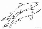 Shark Malvorlagen Hai Cool2bkids sketch template