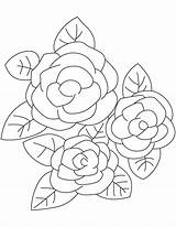 Gardenia Shrubs Evergreen sketch template